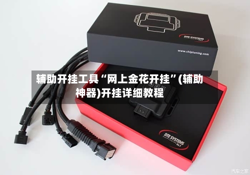 辅助开挂工具“网上金花开挂”(辅助神器)开挂详细教程-第3张图片