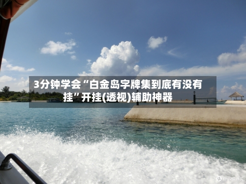 3分钟学会“白金岛字牌集到底有没有挂”开挂(透视)辅助神器-第2张图片