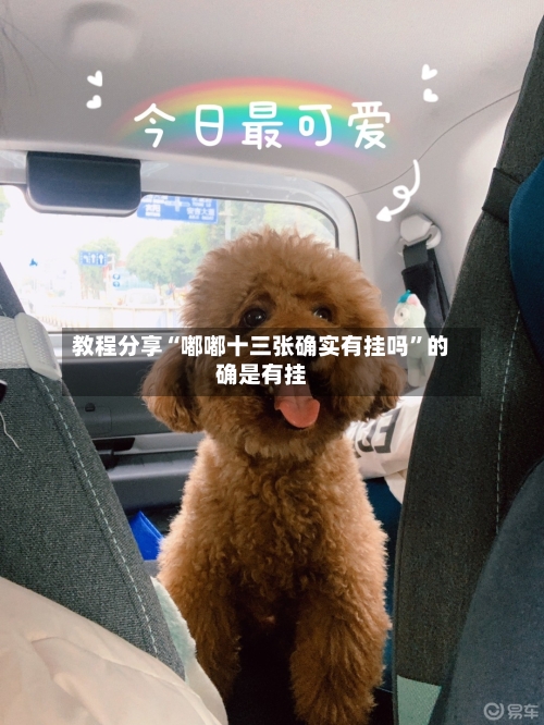 教程分享“嘟嘟十三张确实有挂吗	”的确是有挂-第2张图片