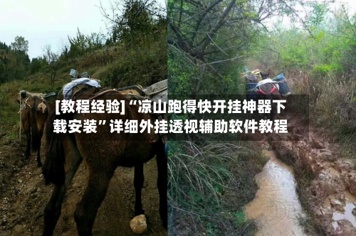 [教程经验]“凉山跑得快开挂神器下载安装”详细外挂透视辅助软件教程-第2张图片