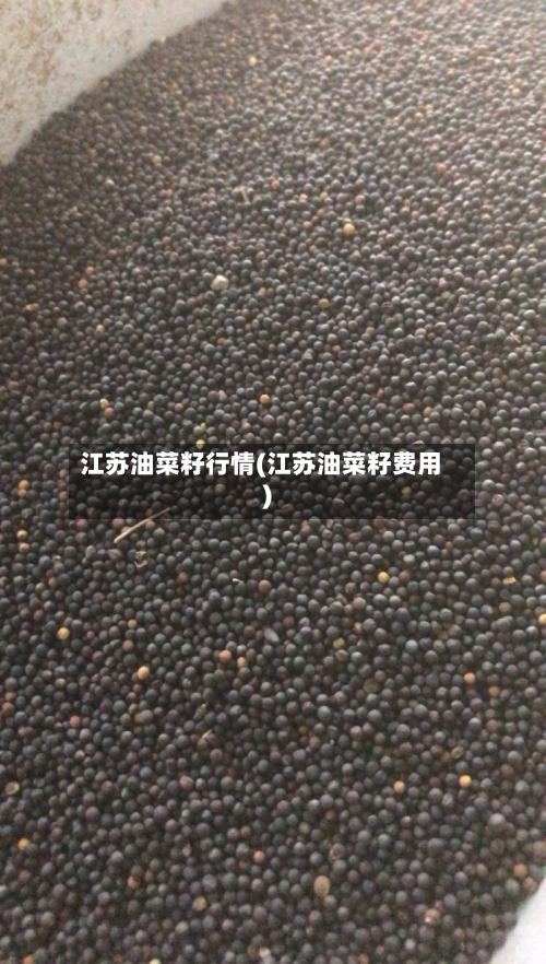 江苏油菜籽行情(江苏油菜籽费用)