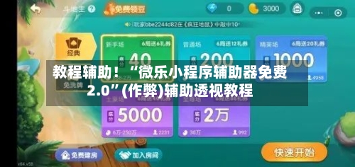 教程辅助！“微乐小程序辅助器免费2.0”(作弊)辅助透视教程-第2张图片