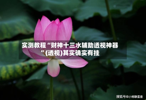 实测教程“财神十三水辅助透视神器”(透视)其实确实有挂-第2张图片