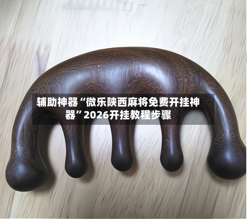 辅助神器“微乐陕西麻将免费开挂神器”2026开挂教程步骤-第3张图片