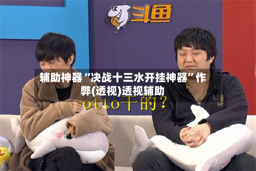 辅助神器“决战十三水开挂神器	”作弊(透视)透视辅助-第2张图片
