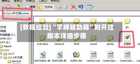 [教程经验]“字牌辅助器”附开挂脚本详细步骤-第2张图片
