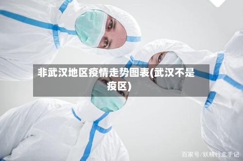 非武汉地区疫情走势图表(武汉不是疫区)-第2张图片