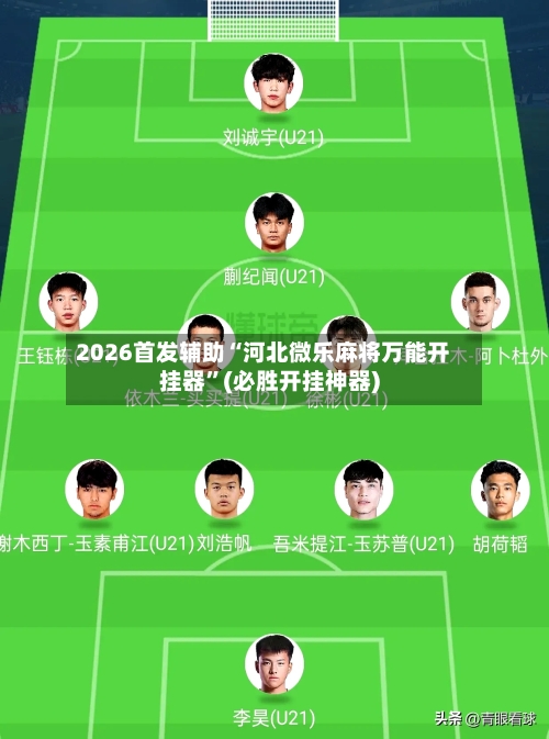 2026首发辅助“河北微乐麻将万能开挂器”(必胜开挂神器)-第2张图片