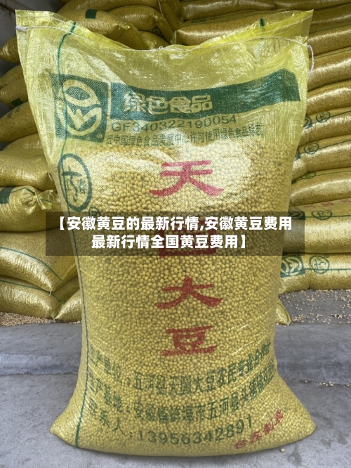 【安徽黄豆的最新行情,安徽黄豆费用最新行情全国黄豆费用】-第2张图片