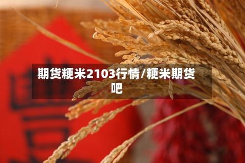 期货粳米2103行情/粳米期货吧