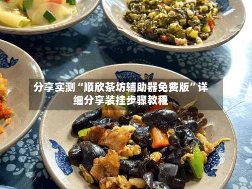 分享实测“顺欣茶坊辅助器免费版”详细分享装挂步骤教程-第3张图片