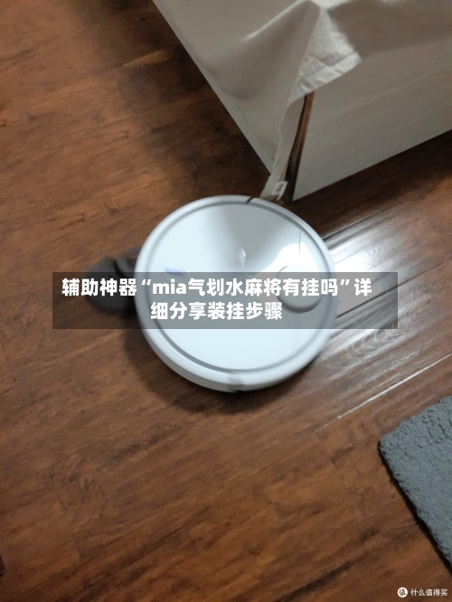 辅助神器“mia气划水麻将有挂吗”详细分享装挂步骤-第2张图片