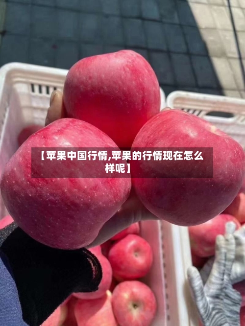 【苹果中国行情,苹果的行情现在怎么样呢】