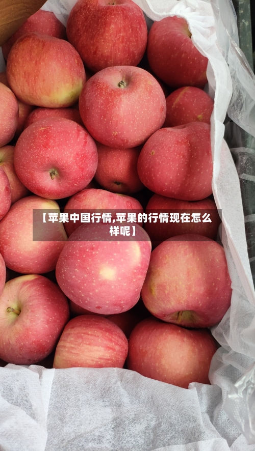 【苹果中国行情,苹果的行情现在怎么样呢】-第2张图片