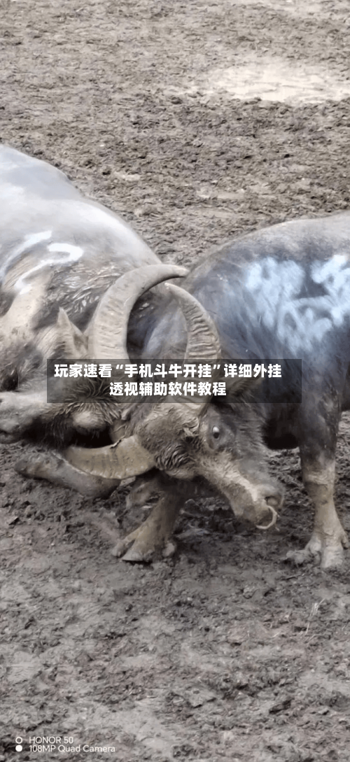 玩家速看“手机斗牛开挂	”详细外挂透视辅助软件教程-第2张图片