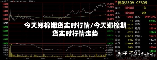 今天郑棉期货实时行情/今天郑棉期货实时行情走势-第3张图片