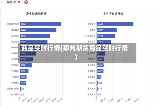 商品实时行情(郑州期货商品实时行情)
