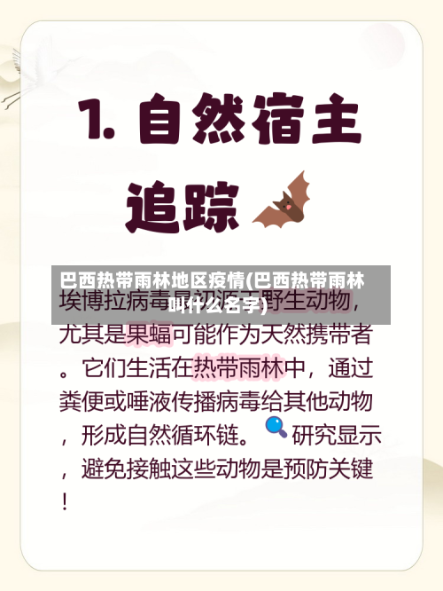 巴西热带雨林地区疫情(巴西热带雨林叫什么名字)