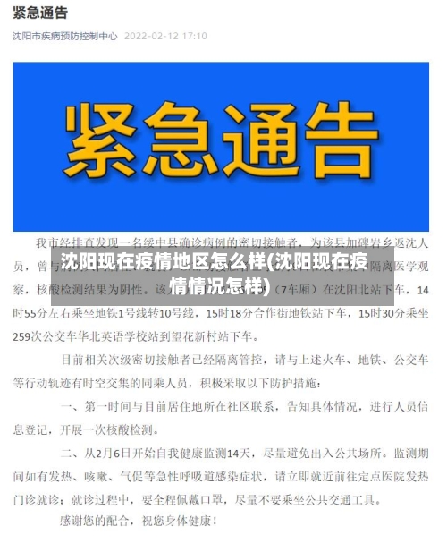沈阳现在疫情地区怎么样(沈阳现在疫情情况怎样)-第2张图片