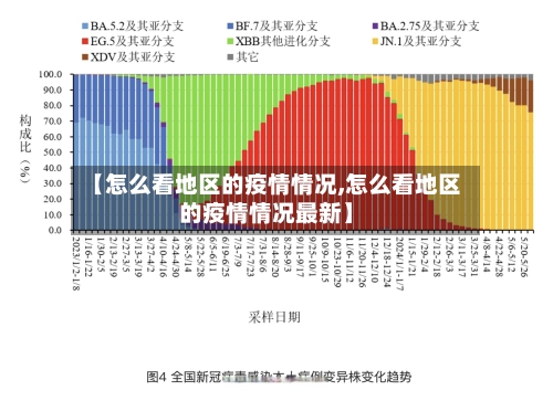 【怎么看地区的疫情情况,怎么看地区的疫情情况最新】