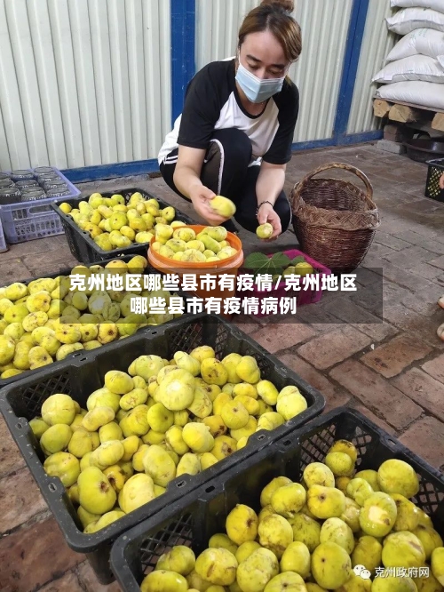 克州地区哪些县市有疫情/克州地区哪些县市有疫情病例-第3张图片