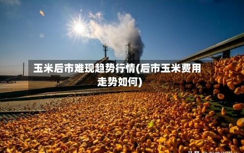 玉米后市难现趋势行情(后市玉米费用走势如何)