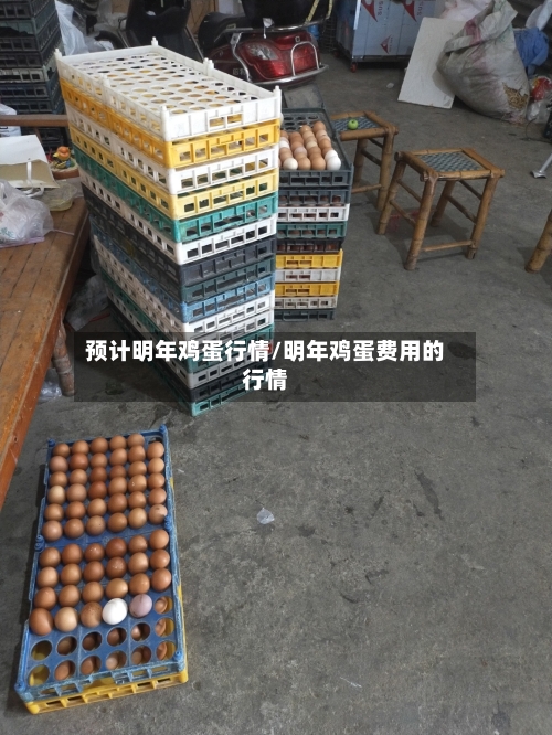 预计明年鸡蛋行情/明年鸡蛋费用的行情-第3张图片