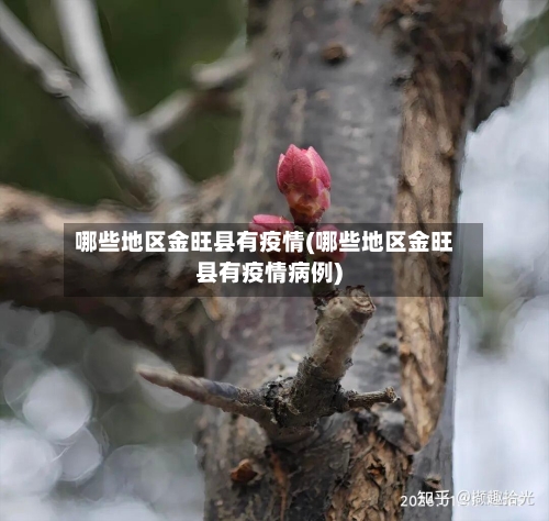 哪些地区金旺县有疫情(哪些地区金旺县有疫情病例)-第3张图片