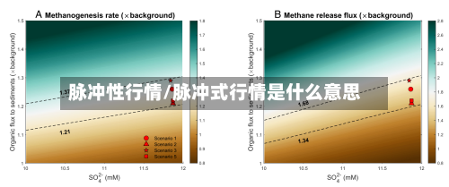 脉冲性行情/脉冲式行情是什么意思