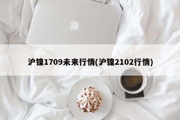 沪镍1709未来行情(沪镍2102行情)