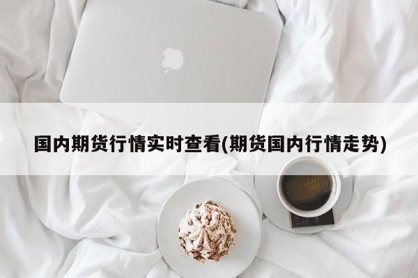 国内期货行情实时查看(期货国内行情走势)