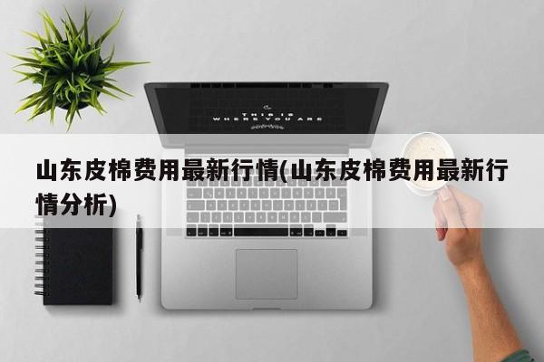 山东皮棉费用最新行情(山东皮棉费用最新行情分析)