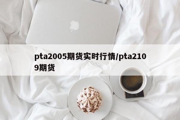 pta2005期货实时行情/pta2109期货