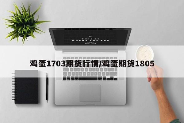 鸡蛋1703期货行情/鸡蛋期货1805