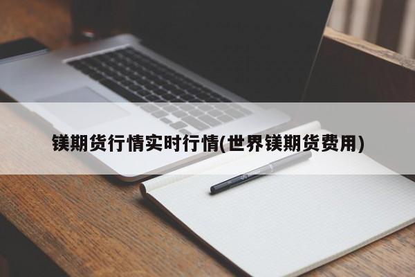 镁期货行情实时行情(世界镁期货费用)
