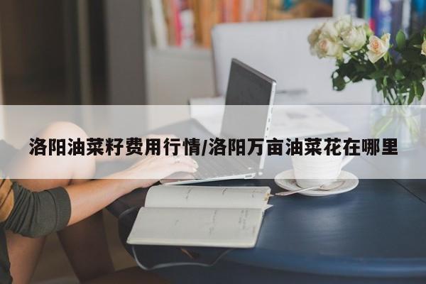 洛阳油菜籽费用行情/洛阳万亩油菜花在哪里